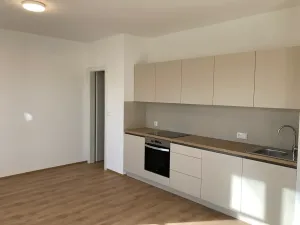 Pronájem bytu 2+kk, Praha - Žižkov, Na rovnosti, 52 m2