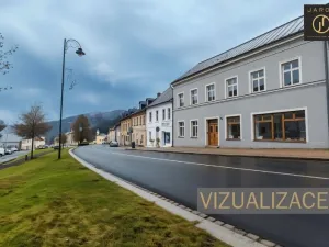 Prodej rodinného domu, Jáchymov, náměstí Republiky, 489 m2