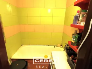 Prodej bytu 2+1, Žatec, Boženy Němcové, 43 m2