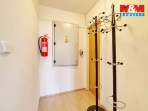 Prodej obchodního prostoru, Mariánské Lázně, Masarykova, 101 m2