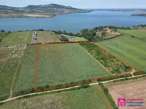 Prodej sadu/vinice, Přítluky - Nové Mlýny, 17804 m2