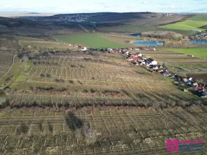 Prodej sadu/vinice, Bořetice, 2567 m2