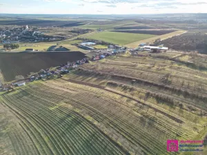 Prodej sadu/vinice, Bořetice, 2567 m2