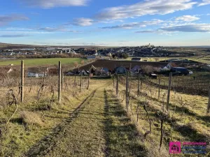 Prodej sadu/vinice, Bořetice, 2567 m2