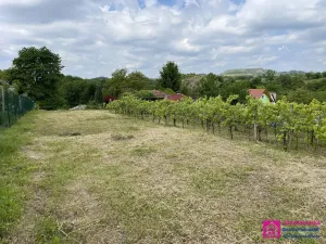 Prodej zahrady, Mikulov, 935 m2