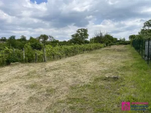 Prodej zahrady, Mikulov, 935 m2