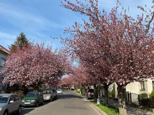 Pronájem bytu 2+kk, Pardubice, Wintrova II, 60 m2