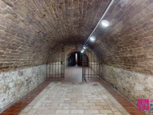 Prodej vinného sklepa, Valtice, Střelecká, 74 m2