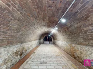 Prodej vinného sklepa, Valtice, Střelecká, 74 m2