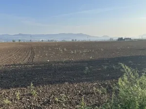 Prodej pozemku pro bydlení, Terezín - Nové Kopisty, 23590 m2