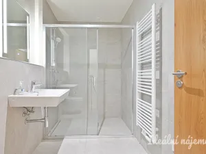 Pronájem bytu 1+kk, Brno, Dornych, 30 m2