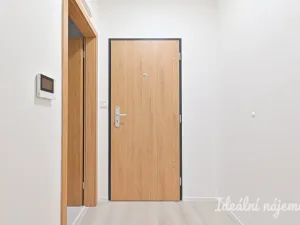 Pronájem bytu 1+kk, Brno, Dornych, 30 m2