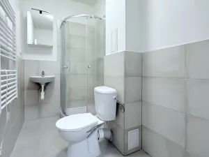 Pronájem bytu 1+kk, Ostrava, Palackého, 27 m2