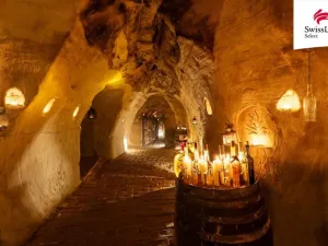 Prodej ubytování, Nový Šaldorf-Sedlešovice, Na Staré cestě, 176 m2