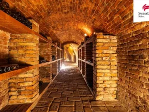 Prodej ubytování, Nový Šaldorf-Sedlešovice, Na Staré cestě, 176 m2