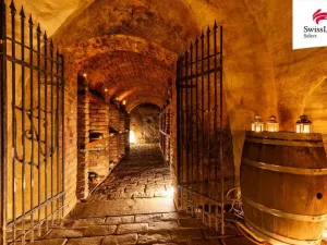 Prodej ubytování, Nový Šaldorf-Sedlešovice, Na Staré cestě, 176 m2