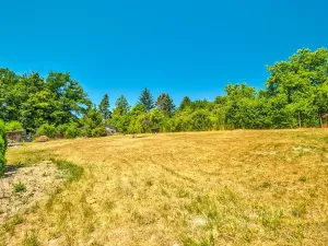 Prodej pozemku pro bydlení, Březová-Oleško, Lomená, 1254 m2