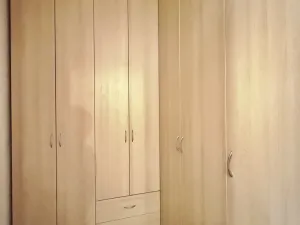 Pronájem bytu 3+1, Ostrava - Hrabůvka, Cholevova, 76 m2