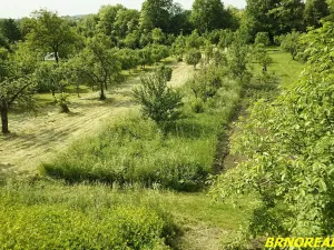 Prodej zahrady, Rousínov, 940 m2