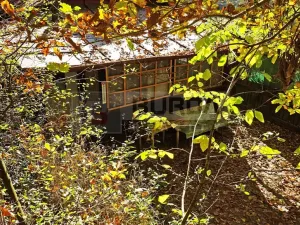 Prodej chaty, Kaliště, 30 m2