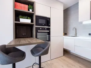 Pronájem bytu 1+kk, Ostrava, U Parku, 27 m2