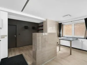 Prodej rodinného domu, Bučovice, 411 m2