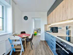 Prodej bytu 2+1, Tábor, Nad Obchvatem, 63 m2