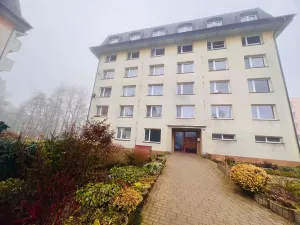 Prodej bytu 1+1, Žďár nad Sázavou, Purkyňova, 54 m2