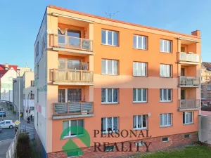 Prodej bytu 2+1, Cheb, Žižkova, 55 m2