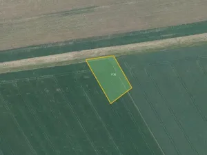 Prodej pole, Prštice, 7073 m2