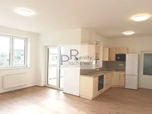 Prodej atypického bytu, Hevlín, 338 m2