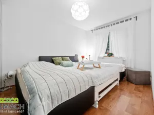 Prodej rodinného domu, Ostrožská Nová Ves, V uličce, 244 m2