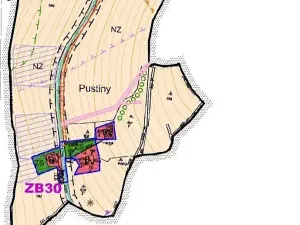 Dražba louky, Říčky v Orlických horách, 1426 m2