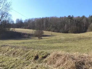 Dražba louky, Úštěk, 4600 m2