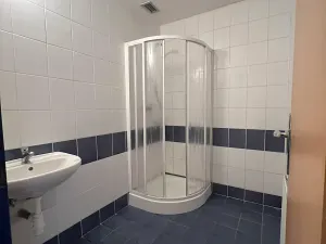 Pronájem obchodního prostoru, Český Těšín, Frýdecká, 160 m2