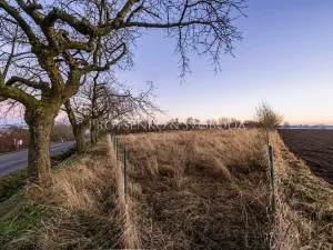 Prodej zahrady, Chotěboř, Hromádky z Jistebnice, 5327 m2