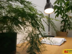 Prodej bytu 4+1, Hodonín, 90 m2