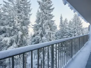 Prodej bytu 1+kk, Loučná pod Klínovcem, 32 m2