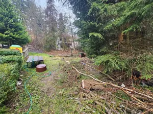 Prodej chaty, Borotice, 26 m2