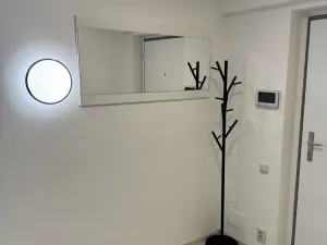 Pronájem bytu 2+kk, Brno, Jircháře, 69 m2