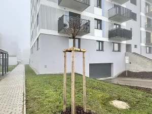 Pronájem bytu 1+kk, Kladno, Štěpána Rautenstraucha, 31 m2