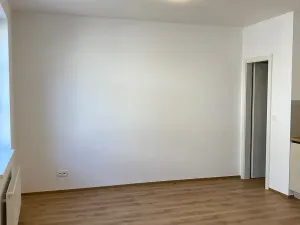 Pronájem bytu 2+kk, Praha - Žižkov, Na rovnosti, 52 m2