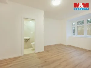 Prodej bytu 2+kk, Praha - Žižkov, Jana Želivského, 46 m2