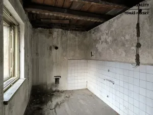 Prodej vícegeneračního domu, Děčín, Litoměřická, 250 m2