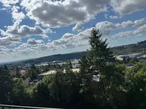 Prodej bytu 3+1, Brno, Bohuslava Martinů, 79 m2