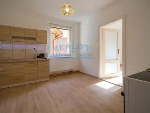 Pronájem rodinného domu, Ústí nad Labem - Neštěmice, Železná, 250 m2