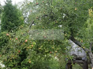 Prodej chaty, Čáslav, 45 m2