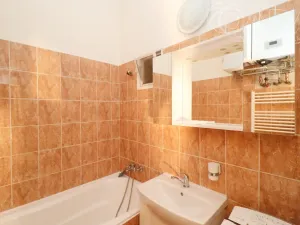 Pronájem bytu 2+1, Praha, Vrchlického, 50 m2