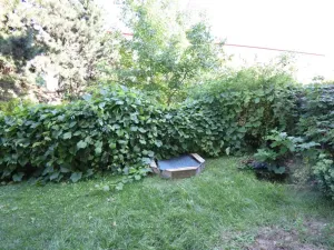 Pronájem bytu 2+1, Brno - Kohoutovice, Stamicova, 47 m2