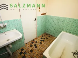 Prodej rodinného domu, Starý Plzenec, Rašínova, 240 m2